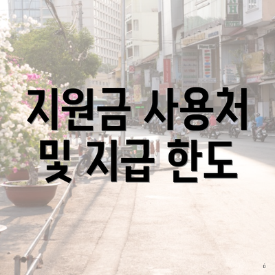 지원금 사용처 및 지급 한도