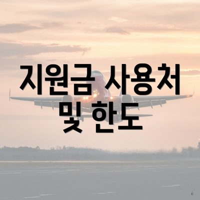 지원금 사용처 및 한도