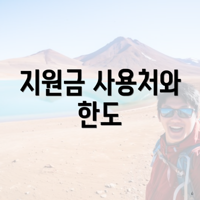 지원금 사용처와 한도