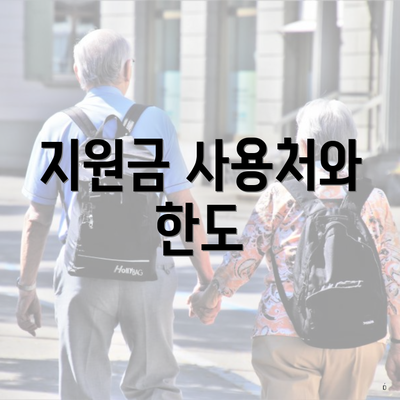 지원금 사용처와 한도