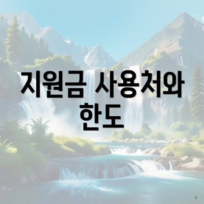 지원금 사용처와 한도