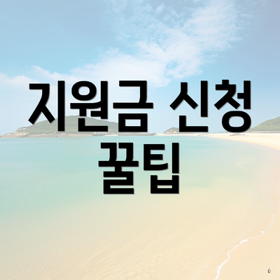 지원금 신청 꿀팁