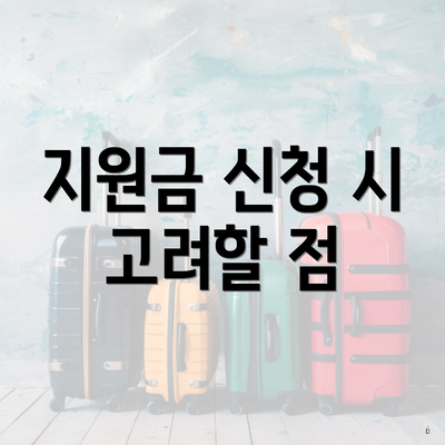 지원금 신청 시 고려할 점