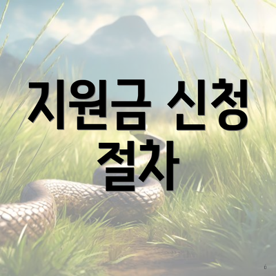 지원금 신청 절차