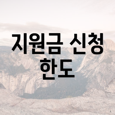 지원금 신청 한도