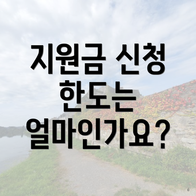 지원금 신청 한도는 얼마인가요?
