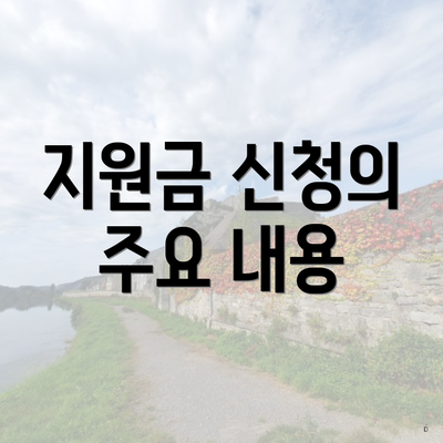 지원금 신청의 주요 내용