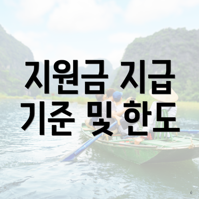 지원금 지급 기준 및 한도