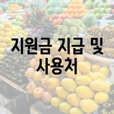 지원금 지급 및 사용처