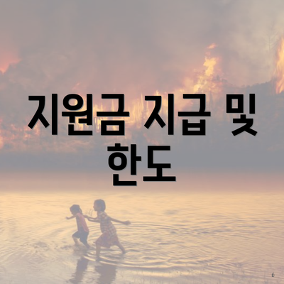 지원금 지급 및 한도