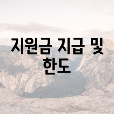 지원금 지급 및 한도
