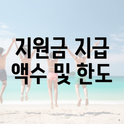 지원금 지급 액수 및 한도