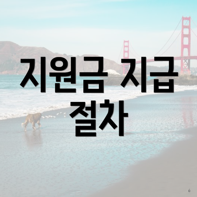 지원금 지급 절차