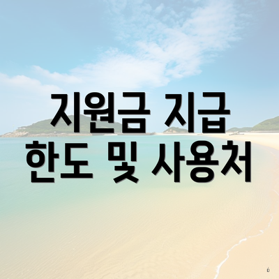 지원금 지급 한도 및 사용처