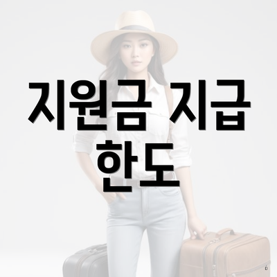 지원금 지급 한도