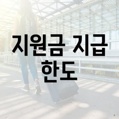 지원금 지급 한도