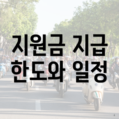 지원금 지급 한도와 일정