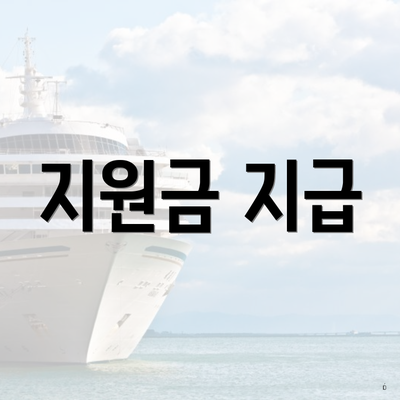 지원금 지급