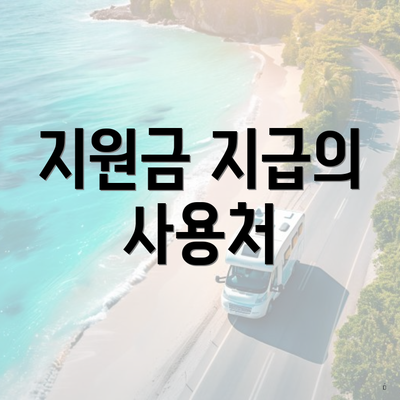 지원금 지급의 사용처