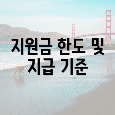 지원금 한도 및 지급 기준