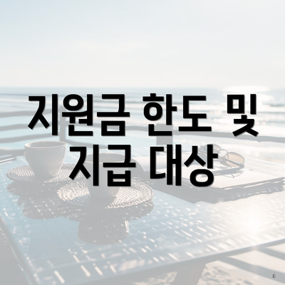 지원금 한도 및 지급 대상