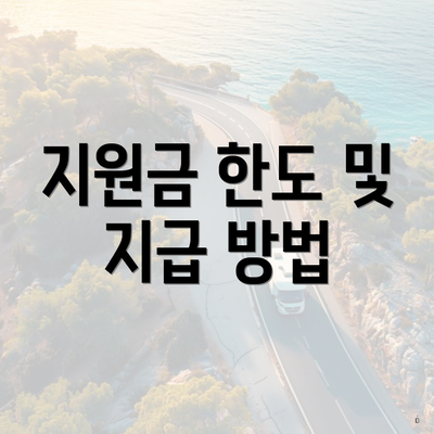 지원금 한도 및 지급 방법