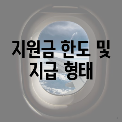 지원금 한도 및 지급 형태