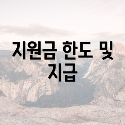 지원금 한도 및 지급