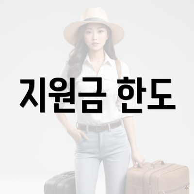지원금 한도