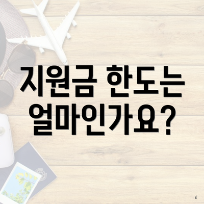 지원금 한도는 얼마인가요?