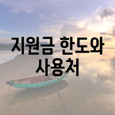 지원금 한도와 사용처