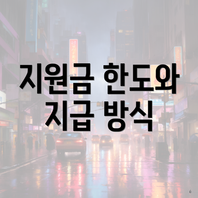 지원금 한도와 지급 방식
