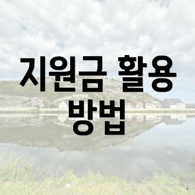 지원금 활용 방법