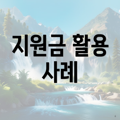 지원금 활용 사례