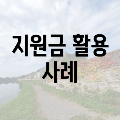 지원금 활용 사례