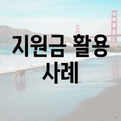 지원금 활용 사례