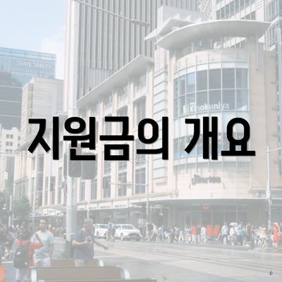 지원금의 개요
