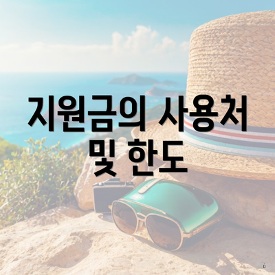 지원금의 사용처 및 한도