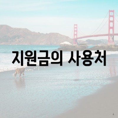 지원금의 사용처