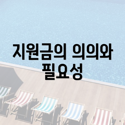 지원금의 의의와 필요성