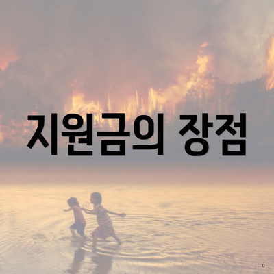 지원금의 장점