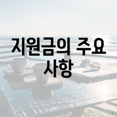 지원금의 주요 사항