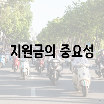 지원금의 중요성