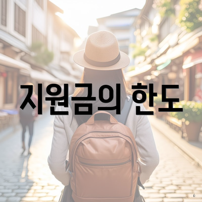 지원금의 한도