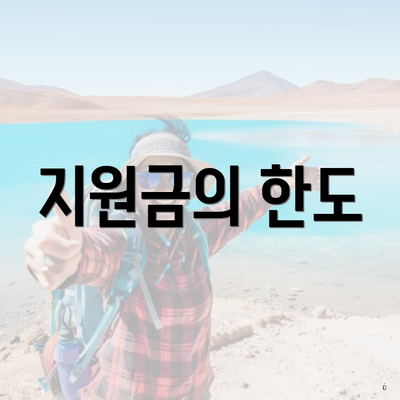 지원금의 한도