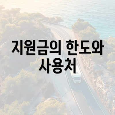 지원금의 한도와 사용처