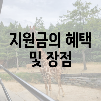 지원금의 혜택 및 장점