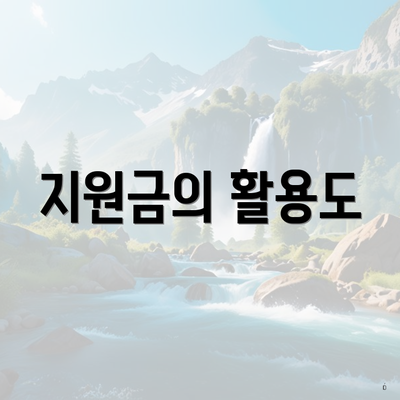 지원금의 활용도