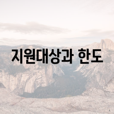 지원대상과 한도