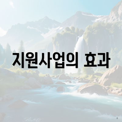 지원사업의 효과